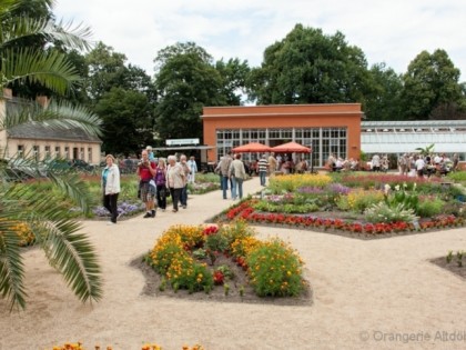 Foto: Orangerie Altdöbern